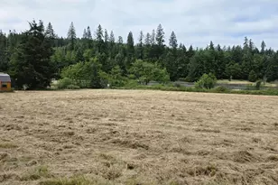 920 Buck Creek Rd, Drain, OR 97435 - Photo 6