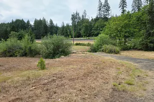 920 Buck Creek Rd, Drain, OR 97435 - Photo 14