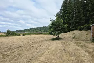 920 Buck Creek Rd, Drain, OR 97435 - Photo 4