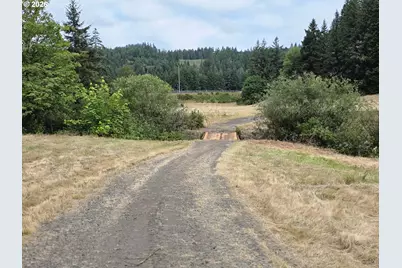 920 Buck Creek Rd, Drain, OR 97435 - Photo 14