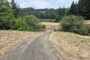 920 Buck Creek Rd, Drain, OR 97435 - Photo 14