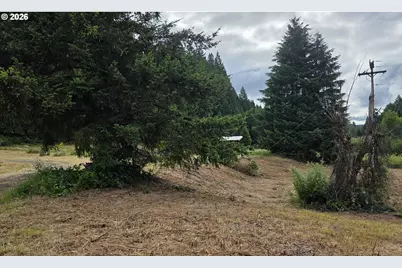 920 Buck Creek Rd, Drain, OR 97435 - Photo 20