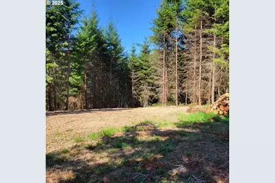 Peter St #1S, Warren, OR 97053 - Photo 6