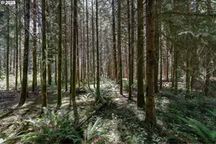 25454 Perkins Rd, Veneta, OR 97487 - Photo 24