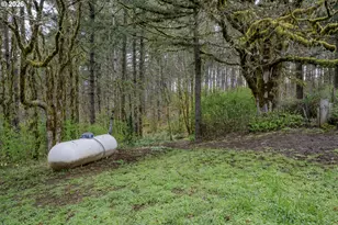 23220 Burgett Creek Rd, Philomath, OR 97370 - Photo 48