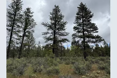 Old Mountain Rd., Goldendale, WA 98620 - Photo 28