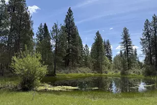 Old Mountain Rd, Goldendale, WA 98620 - Photo 1
