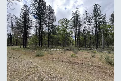 Old Mountain Rd., Goldendale, WA 98620 - Photo 14