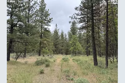 Old Mountain Rd., Goldendale, WA 98620 - Photo 6