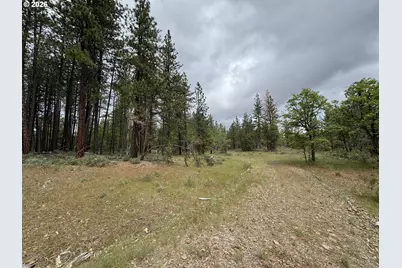 Old Mountain Rd., Goldendale, WA 98620 - Photo 18