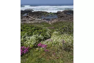 71 Surfside Dr, Yachats, OR 97498 - Photo 14