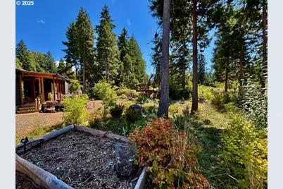 44989 McKenzie Hwy, Leaburg, OR 97489 - Photo 20