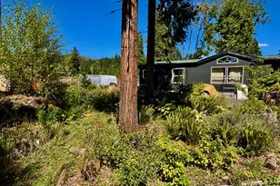 44989 McKenzie Hwy, Leaburg, OR 97489 - Photo 2