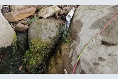 0 Snowberry Rd, Roseburg, OR 97471 - Photo 18