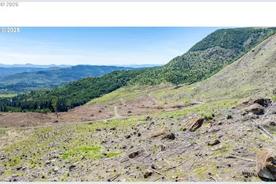 0 Snowberry Rd, Roseburg, OR 97471 - Photo 10