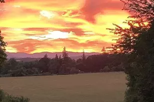 891 S Park St, Carlton, OR 97111 - Photo 10