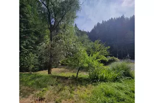 47501 Westoak Rd, Westfir, OR 97492 - Photo 4