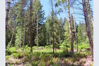 1515 Kirkpatrick Rd, Hoquiam, WA 98550 - Photo 18