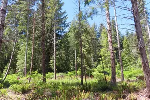 1515 Kirkpatrick Rd, Hoquiam, WA 98550 - Photo 18