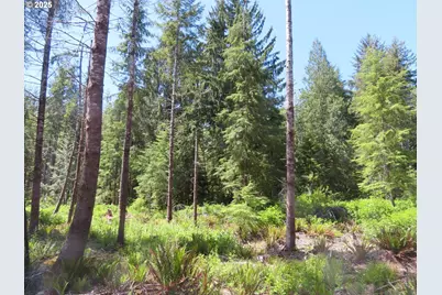 1515 Kirkpatrick Rd, Hoquiam, WA 98550 - Photo 12