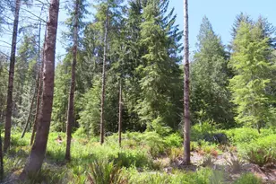 1515 Kirkpatrick Rd, Hoquiam, WA 98550 - Photo 12