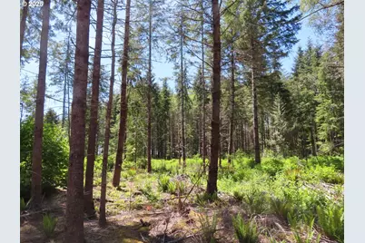 1515 Kirkpatrick Rd, Hoquiam, WA 98550 - Photo 4