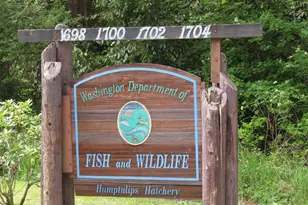 1515 Kirkpatrick Rd, Hoquiam, WA 98550 - Photo 26