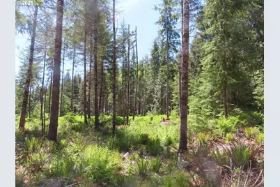 1515 Kirkpatrick Rd, Hoquiam, WA 98550 - Photo 2