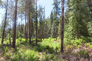 1515 Kirkpatrick Rd, Hoquiam, WA 98550 - Photo 2