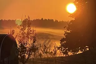 24218 Vaughn Rd, Veneta, OR 97487 - Photo 18