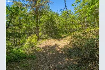 518 Canyon Rd, Lyle, WA 98635 - Photo 18