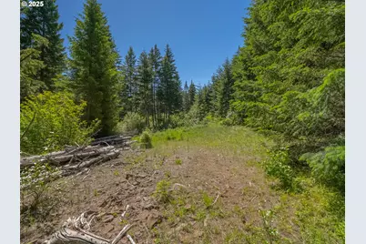 518 Canyon Rd, Lyle, WA 98635 - Photo 28