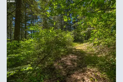 518 Canyon Rd, Lyle, WA 98635 - Photo 20