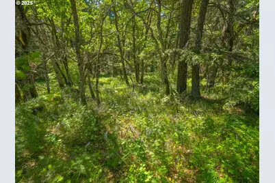 518 Canyon Rd, Lyle, WA 98635 - Photo 16