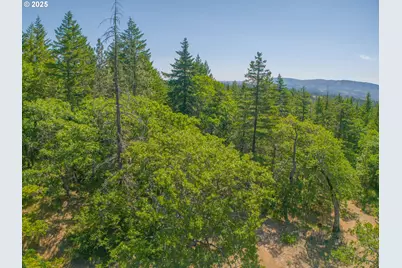 518 Canyon Rd, Lyle, WA 98635 - Photo 14