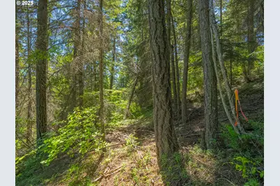 518 Canyon Rd, Lyle, WA 98635 - Photo 22