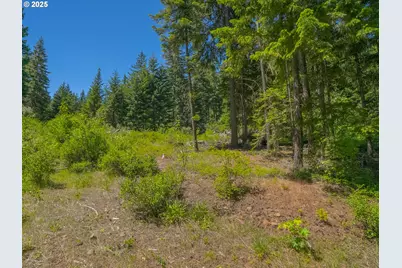 518 Canyon Rd, Lyle, WA 98635 - Photo 32