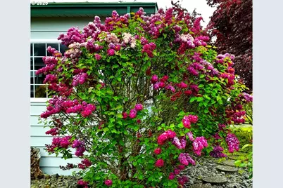 15961 Bay View Dr, Brookings, OR 97415 - Photo 34