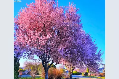 15961 Bay View Dr, Brookings, OR 97415 - Photo 32
