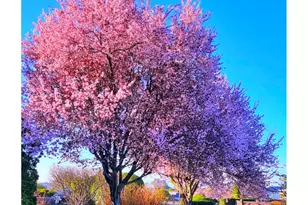 15961 Bayview Dr, Brookings, OR 97415 - Photo 32