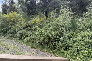 2389 Brooklyn Dr, Coos Bay, OR 97420 - Photo 28