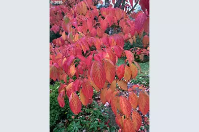 1506 SW Spring Garden St, Portland, OR 97219 - Photo 28