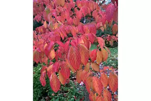 1506 SW Spring Garden St, Portland, OR 97219 - Photo 28