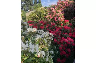 1506 SW Spring Garden St, Portland, OR 97219 - Photo 36