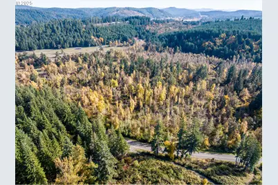 Siuslaw River Rd, Lorane, OR 97451 - Photo 34