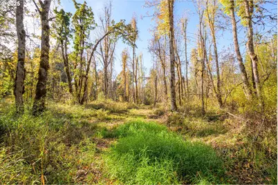 Siuslaw River Rd, Lorane, OR 97451 - Photo 18