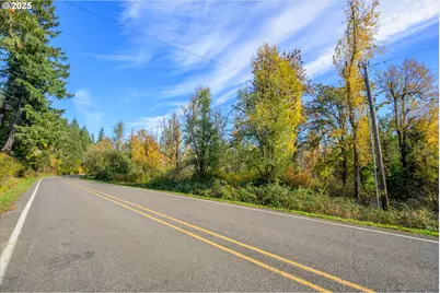Siuslaw River Rd, Lorane, OR 97451 - Photo 4