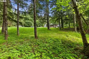 28582 S Salo Rd, Mulino, OR 97042 - Photo 20