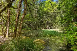 28582 S Salo Rd, Mulino, OR 97042 - Photo 36