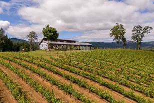 12000 NW Old Wagon Rd, Carlton, OR 97111 - Photo 46